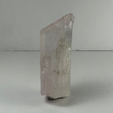 A tall, translucent pink spodumene kunzite crystal with a rough terminated top, standing upright on a flat white surface against a plain light gray background.
