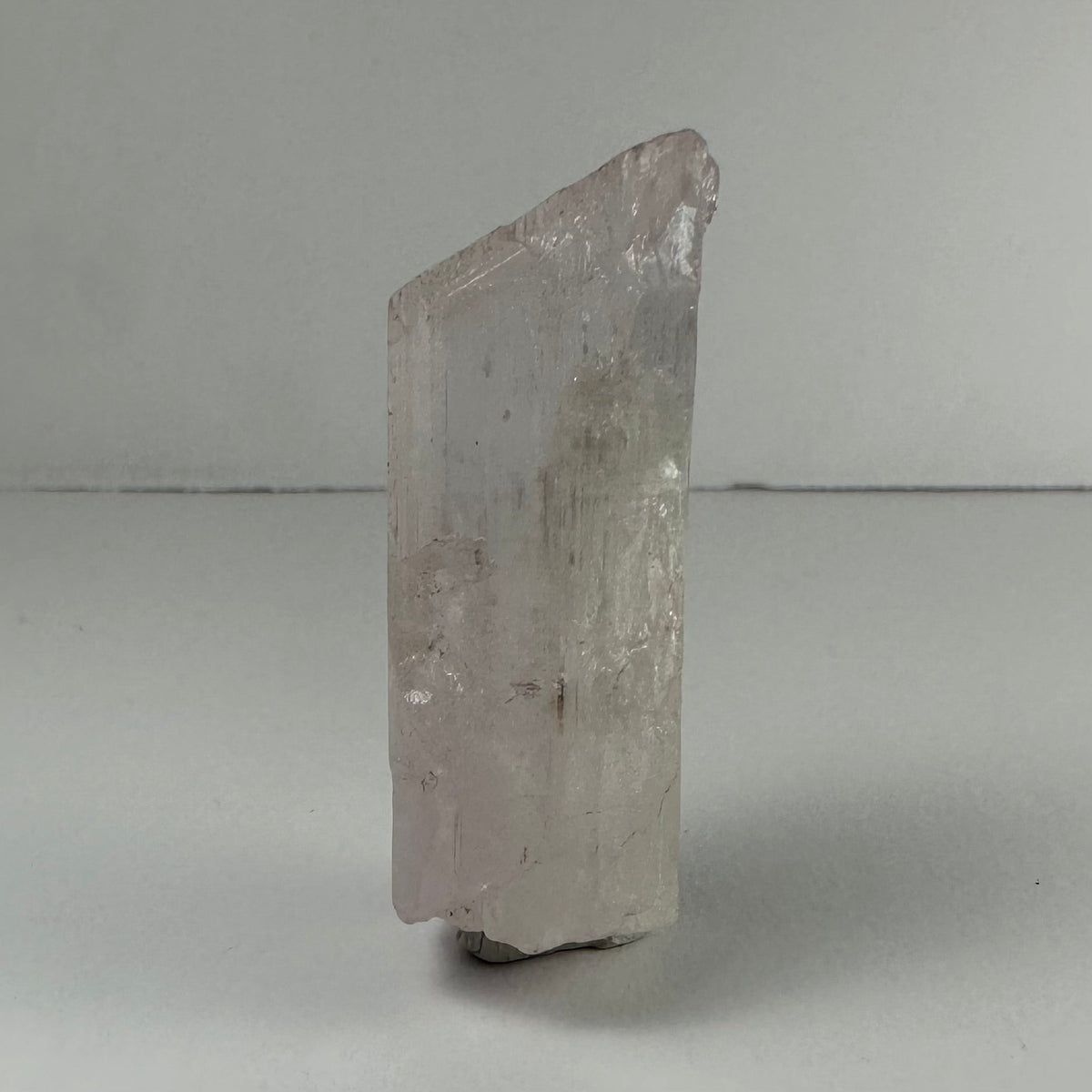 A tall, translucent pink spodumene kunzite crystal with a rough terminated top, standing upright on a flat white surface against a plain light gray background.