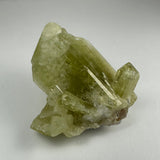 Cluster of translucent pale green Brazilianite crystals with elongated prismatic shapes and a rough white matrix base on a neutral background.
