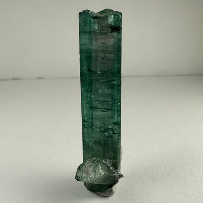Indicolite Tourmaline with Rubellite from Africa by Rare Earth Gallery - main product image for Resin Society