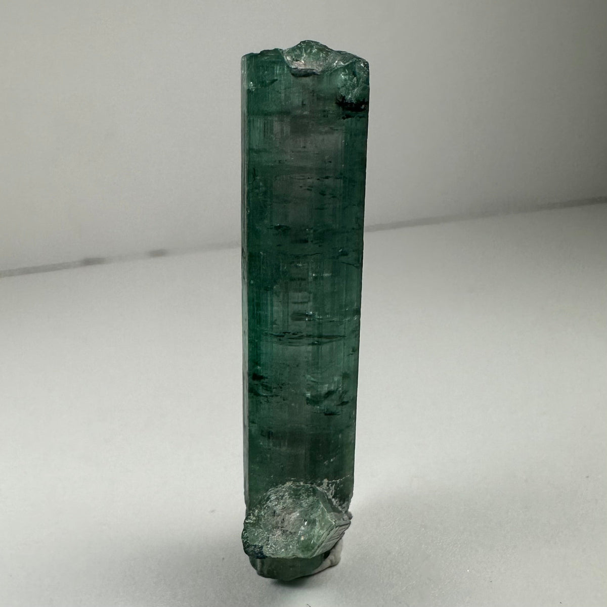 Deep green Indicolite Tourmaline crystal standing vertically with rough, irregular terminations on a plain light surface.