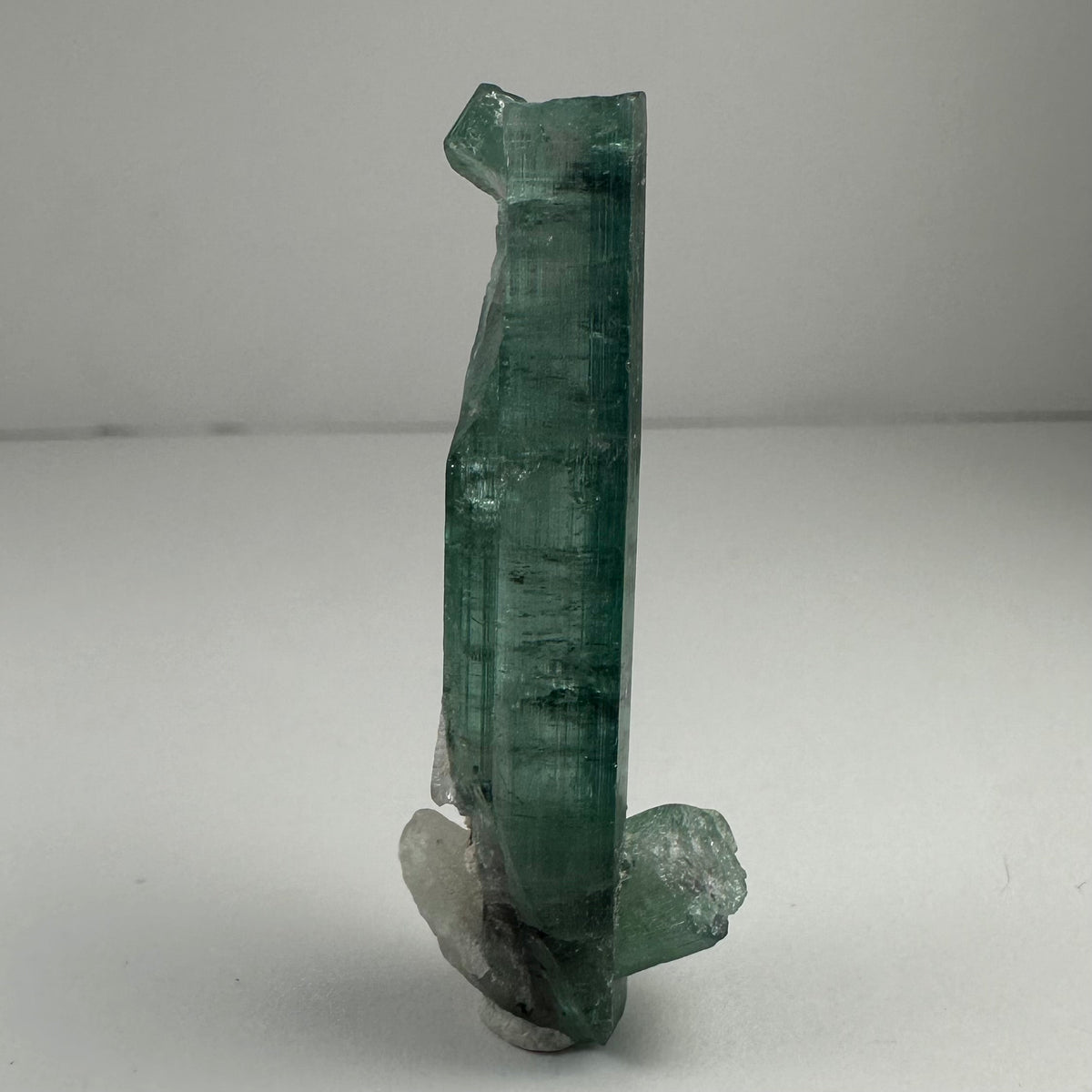 Tall bluish-green indicolite tourmaline crystal standing upright with a smaller clear crystalline formation attached at the base, set against a plain light background.