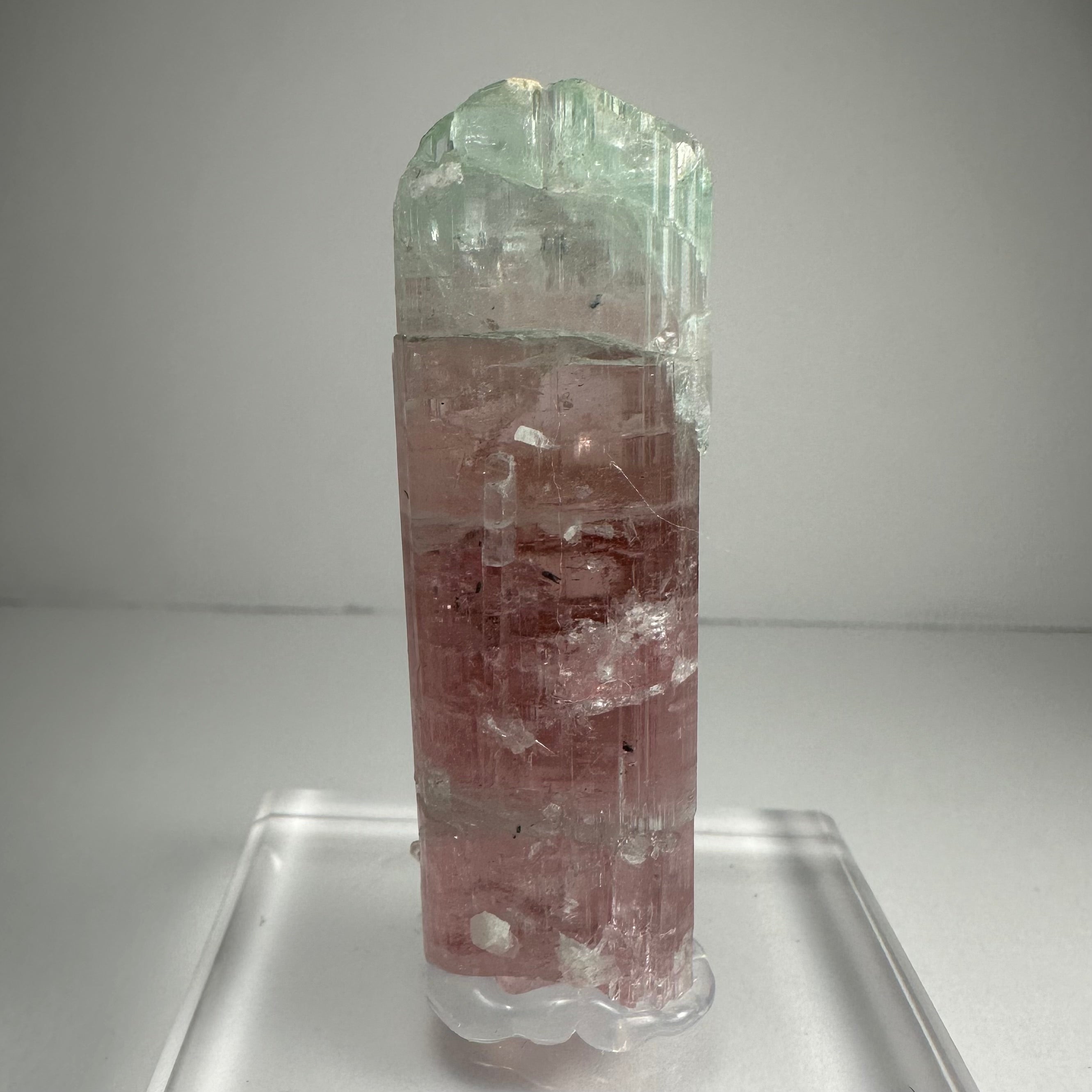 Watermelon Tourmaline by Rare Earth Gallery - main product image for Resin Society