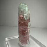 Vertical Watermelon Tourmaline crystal with pink lower section and pale green upper tip, standing on a clear acrylic base against a plain background