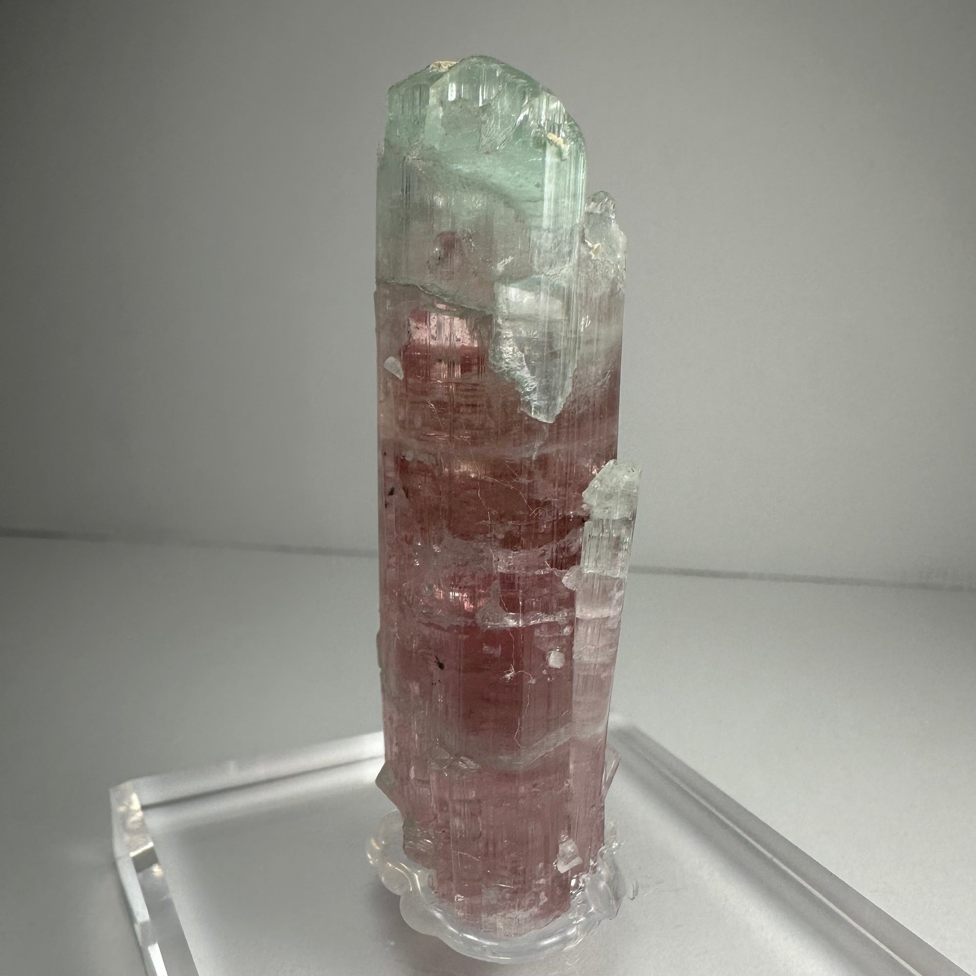 Watermelon Tourmaline by Rare Earth Gallery - product image 2 for Resin Society