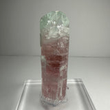 Crystal of watermelon tourmaline with green top and pink bottom, standing upright on a clear display base against a neutral background.