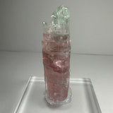 Vertical crystal of watermelon tourmaline with a pink lower section and a pale green upper tip, displayed on a clear stand against a plain background.