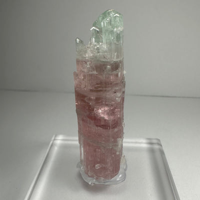 Watermelon Tourmaline by Rare Earth Gallery - product image 4 for Resin Society