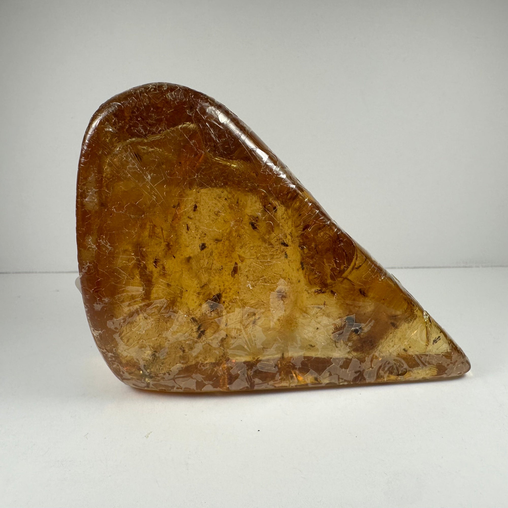 Colombian Amber with Insects by Rare Earth Gallery - main product image for Resin Society