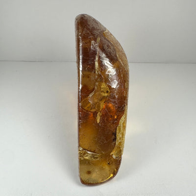 Colombian Amber with Insects by Rare Earth Gallery - product image 3 for Resin Society