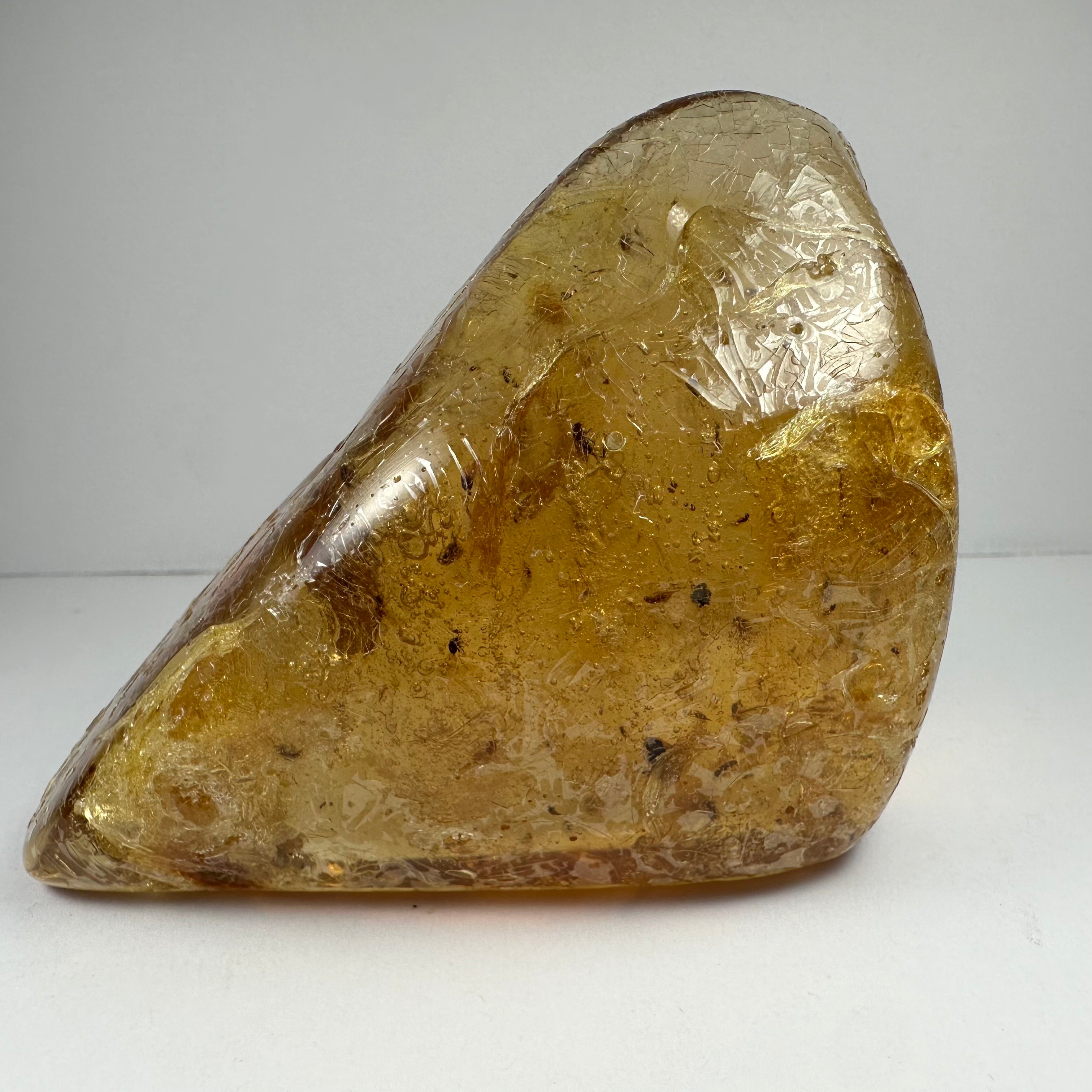 Colombian Amber with Insects by Rare Earth Gallery - product image 4 for Resin Society