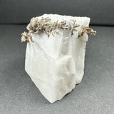 White translucent calcite crystal with dendritic native silver formations along the top edge, displayed on a dark gray surface.