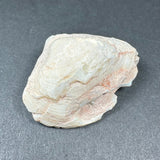 Irregular natural clam shell with opalized white and pale peach textured surface on a black background.