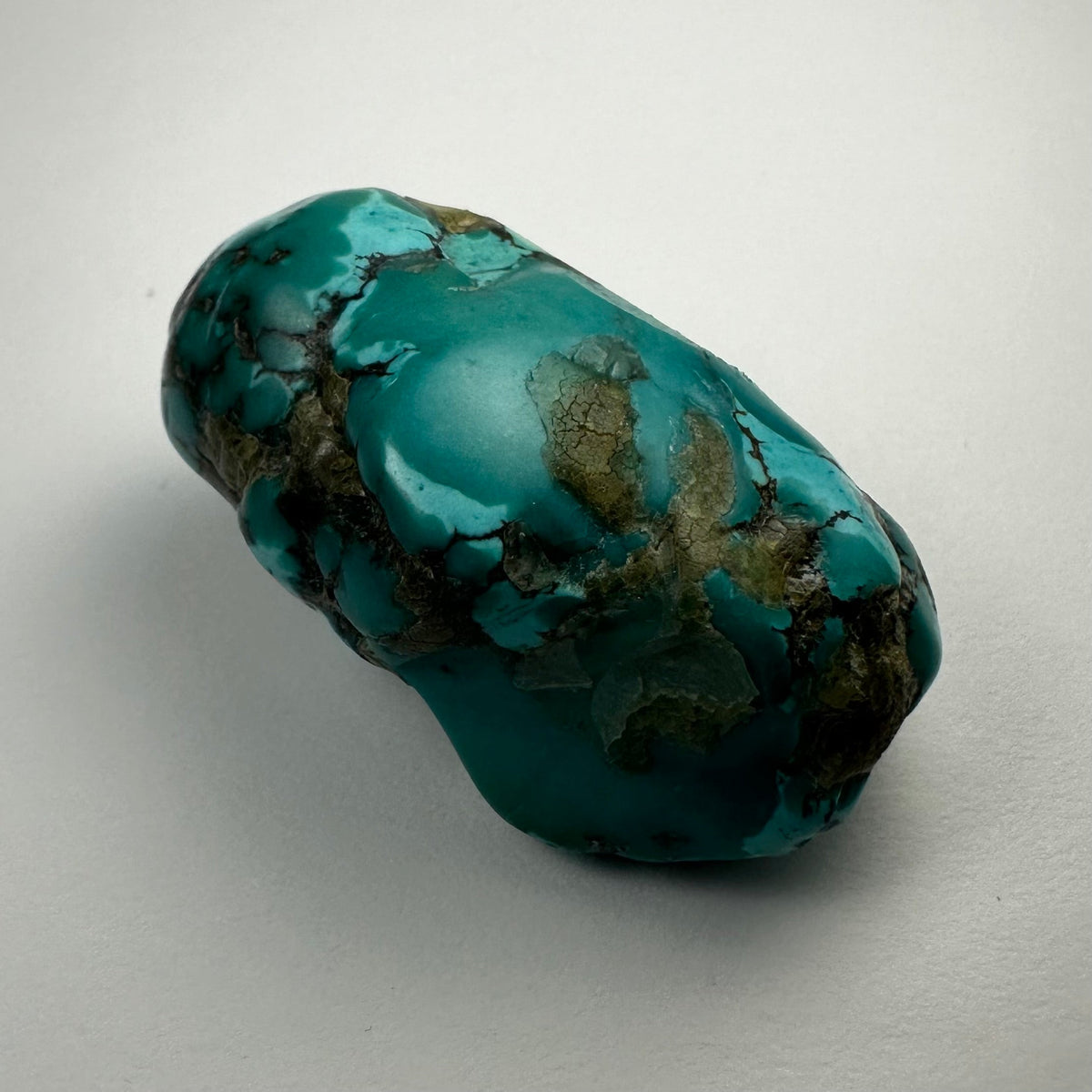 Turquoise nugget with vibrant blue-green color and dark brown to black matrix patterns, shown against a light gray background in a close-up view.