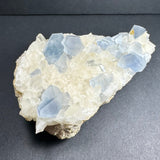 Light blue celestite crystals with translucent scalenohedral calcite formations on a rough matrix, displayed on a dark surface.