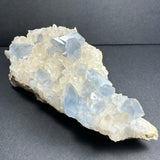 Cluster of translucent pale blue celestite crystals on a base of creamy yellow scalenohedral calcite crystals, displayed against a dark gray background.