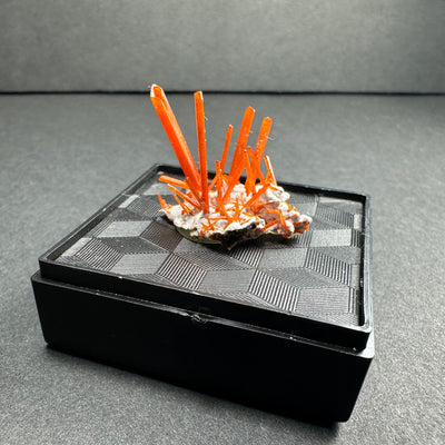 Crocoite mineral specimen on matrix displayed in a clear acrylic box