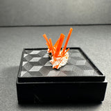 Clusters of bright orange crocoite crystals protruding vertically from a white matrix, displayed on a black textured platform against a neutral background.