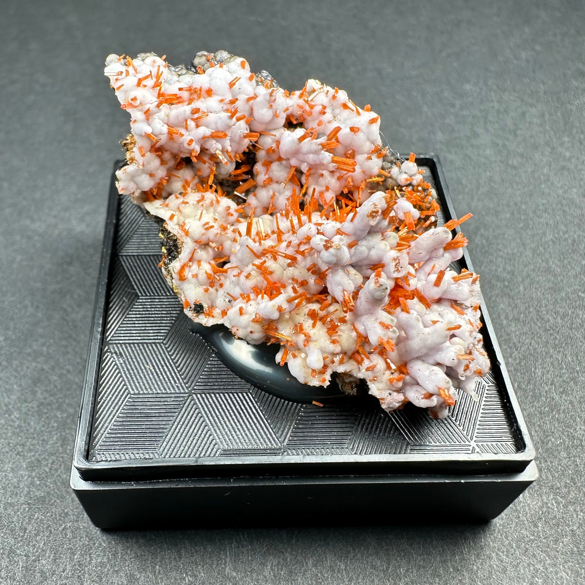Crocoite mineral specimen featuring vibrant orange crystal rods emerging from a white, botryoidal matrix, displayed on a patterned black stand against a gray background.