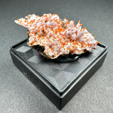 Crocoite crystal cluster with bright orange slender needles emerging from a white, uneven matrix, displayed on a textured black square pedestal against a gray background.