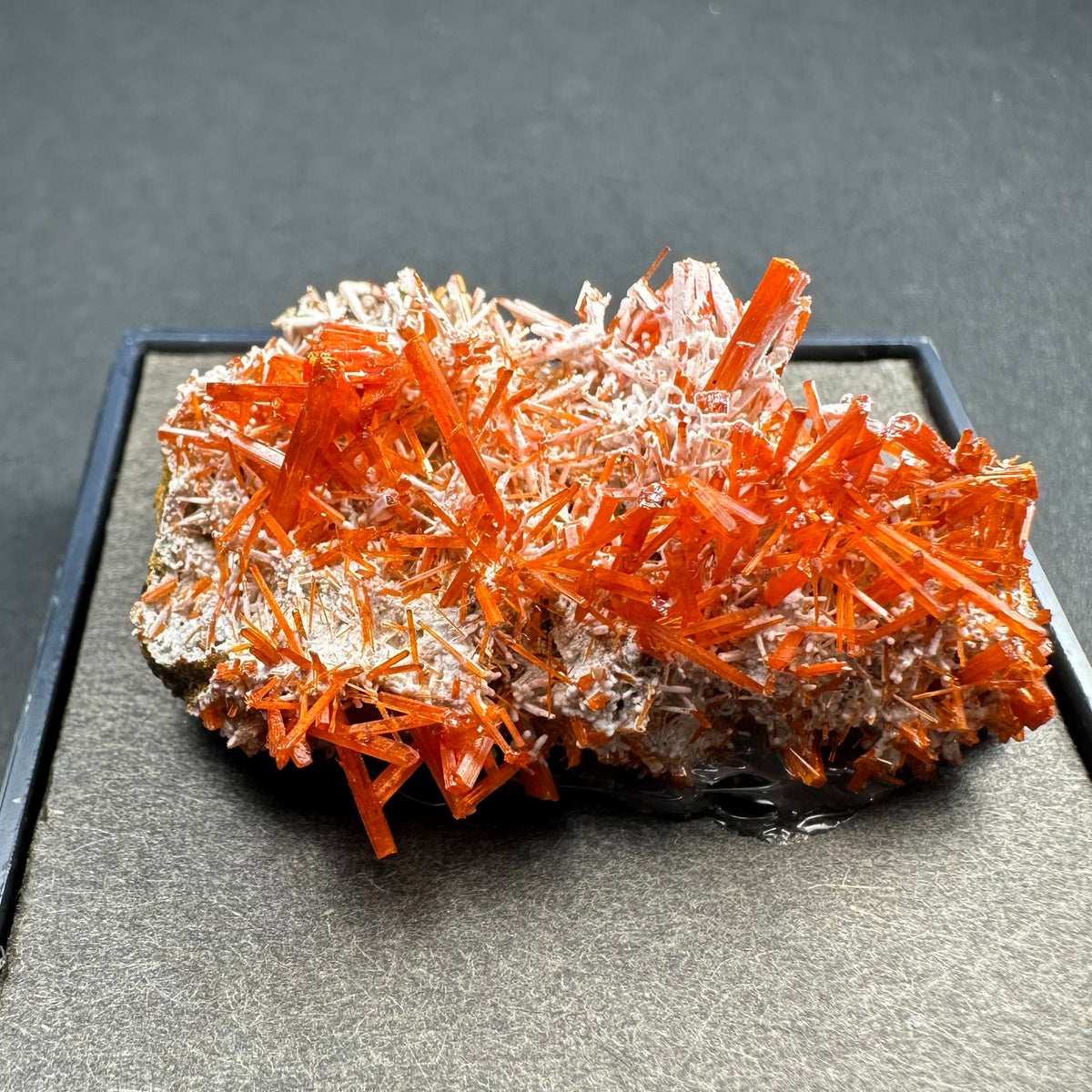 Bright orange crocoite crystals densely clustered on a grayish matrix, displayed on a black surface against a muted background.