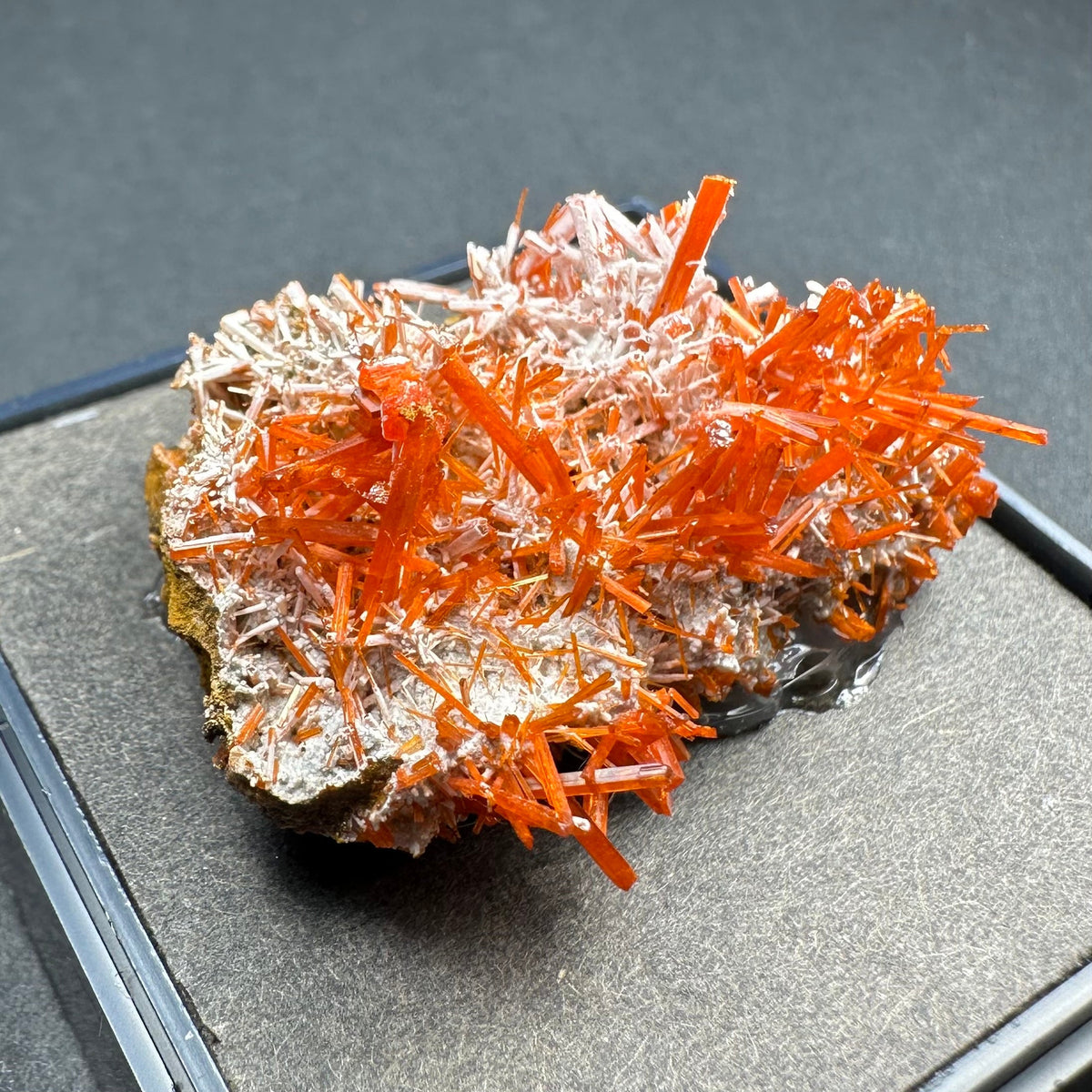 Bright orange crocoite crystals radiate from a pale, rough matrix on a square display stand, showcasing thin, elongated prismatic crystal formations.