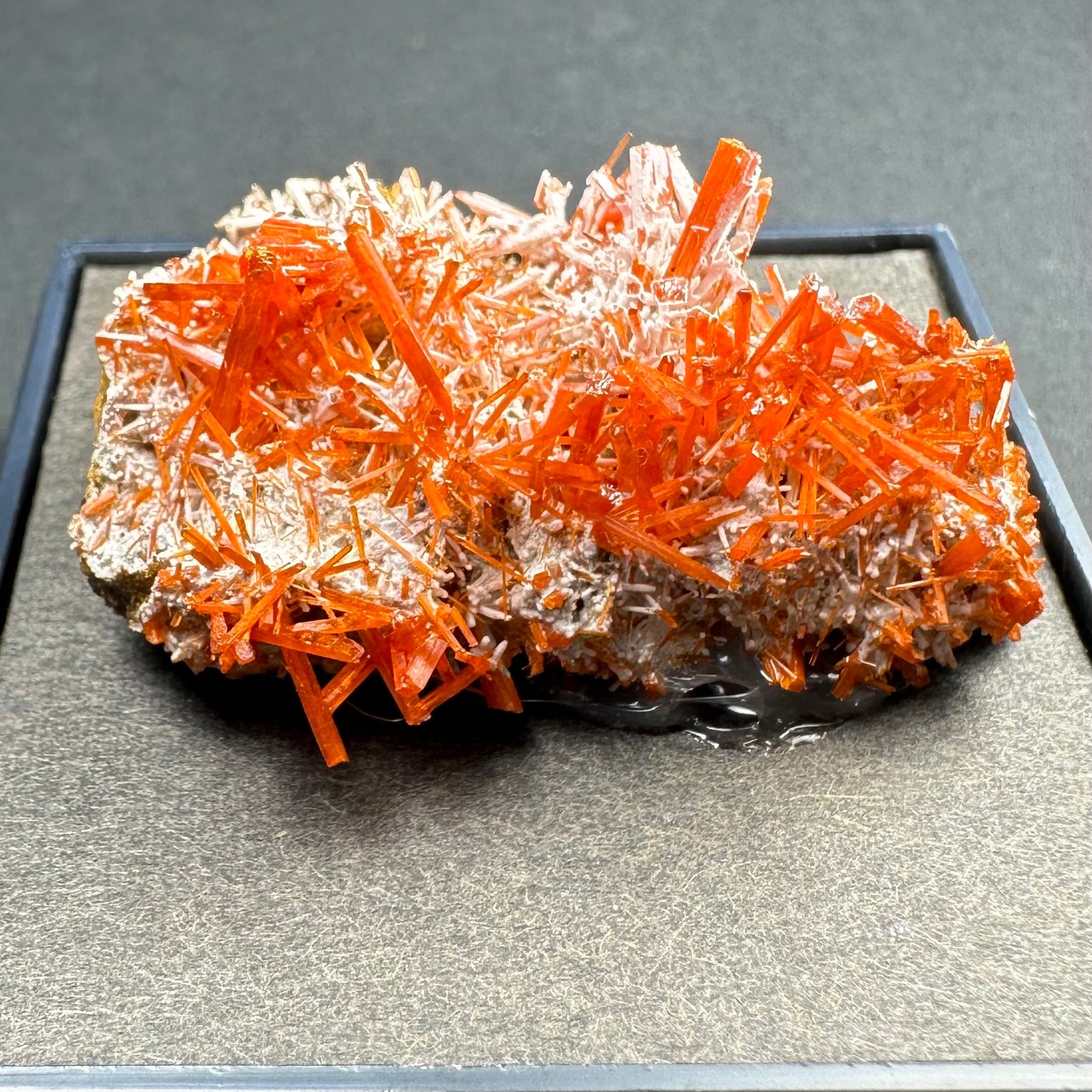 Crocoite mineral specimen on matrix in an acrylic display case from Adelaide Mine, Dundas, Tasmania, Australia