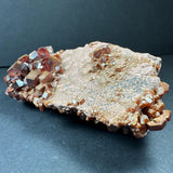 Vanadinite cluster with reddish-brown hexagonal crystals growing densely on a beige rough matrix, shown against a dark background from a side angle.