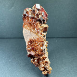 Vertical cluster of deep red vanadinite crystals with hexagonal shapes on a beige matrix, against a dark gray background.