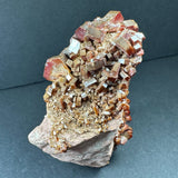 Cluster of reddish-brown vanadinite crystals with hexagonal shapes densely packed on a pale beige matrix, photographed against a dark background.
