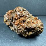 Cluster of bright orange wulfenite crystals on rough beige and brown matrix from Maoniuping Mine, Sichuan, China, shown with detailed crystal facets and natural texture.