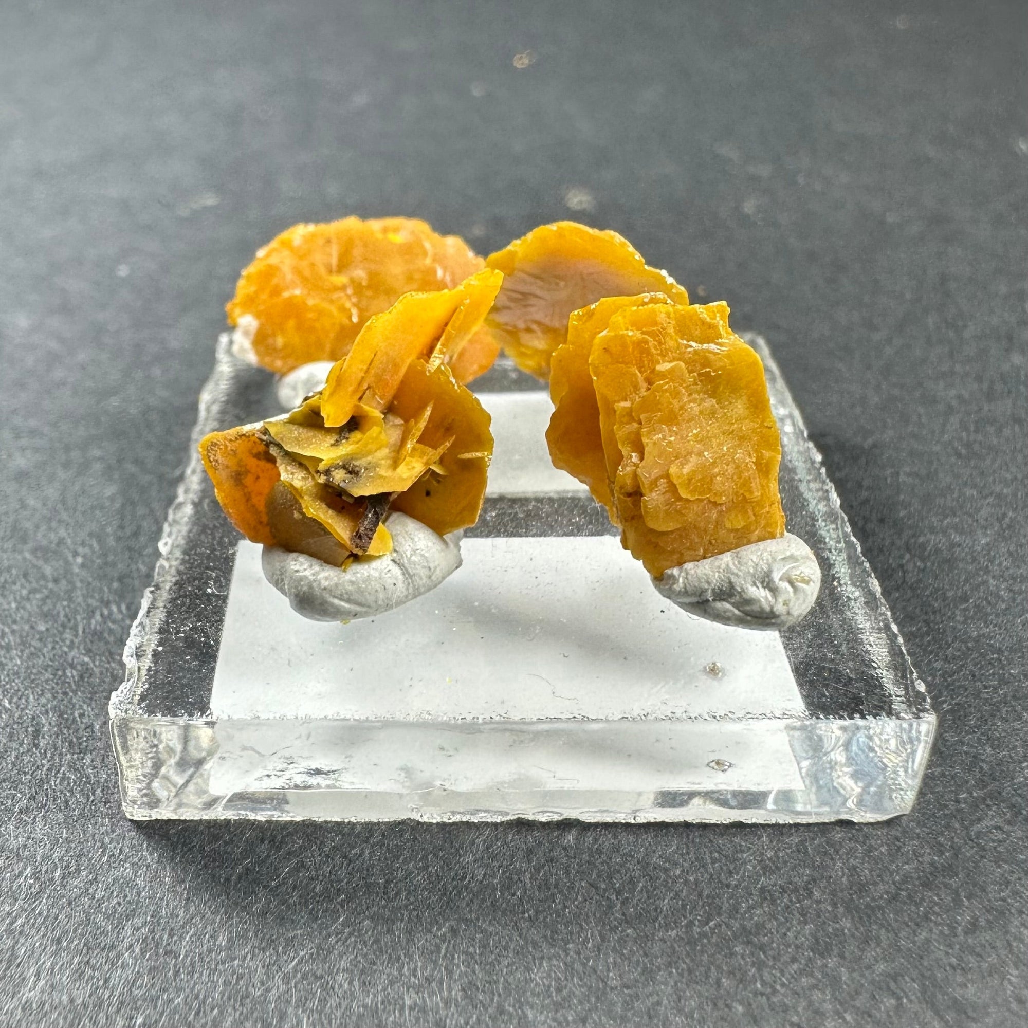 Micro Wulfenite crystal clusters on a small acrylic square against a neutral background