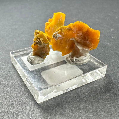 Micro Wulfenite Crystal Cluster on clear acrylic square