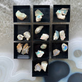 Collection of raw Welo Opal stones with flashes of green, blue, and red iridescence, displayed in black square compartments on a grayish-white patterned background.