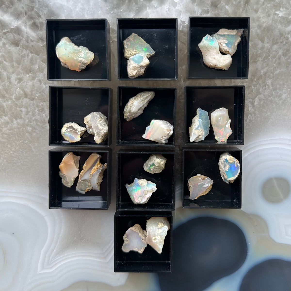 Collection of raw Welo Opal stones with flashes of green, blue, and red iridescence, displayed in black square compartments on a grayish-white patterned background.