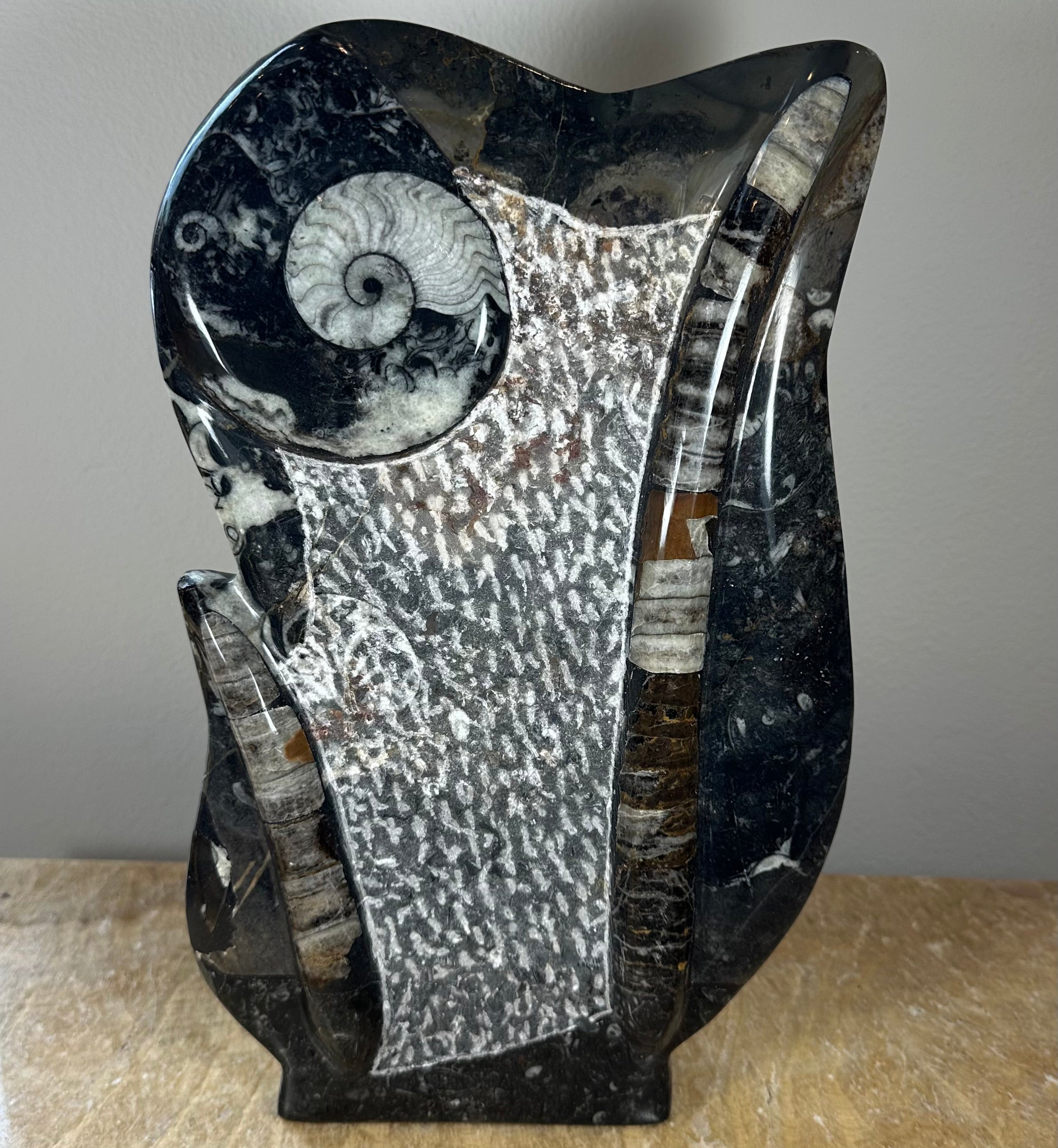 Ammonite Fossils in cut base limestone matrix sculpture from Rare Earth Gallery