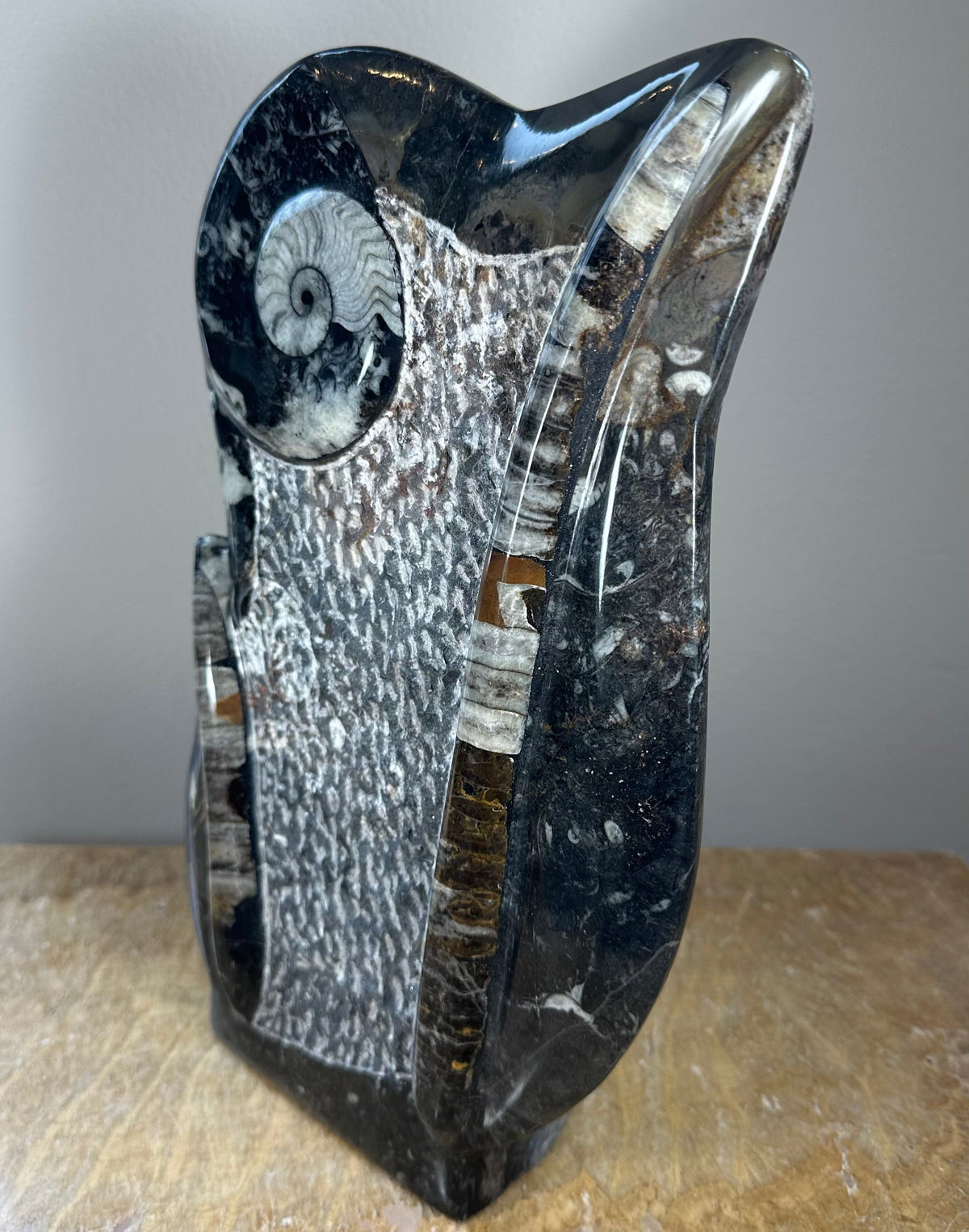 Polished black matrix sculpture featuring embedded spiral ammonite fossils and intricate white fossil patterns, displayed upright on a wooden surface.