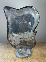 Polished fossil matrix sculpture featuring visible ammonite fossils with swirling patterns in gray and black stone, standing upright on a small base.
