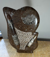 Polished brown matrix sculpture featuring embedded ammonite and orthoceras fossils with visible intricate spiral and elongated shapes, displayed on a beige surface.
