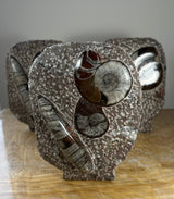 Three textured grayish matrix sculptures each containing polished ammonite fossils with visible spiral patterns and brown, cream, and white color variations.