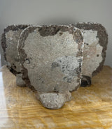 Three gray ammonite fossils embedded in matrix rock, arranged standing on a honey-colored wooden surface with a neutral background.