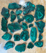 Polished green malachite mineral slice with distinctive banding patterns