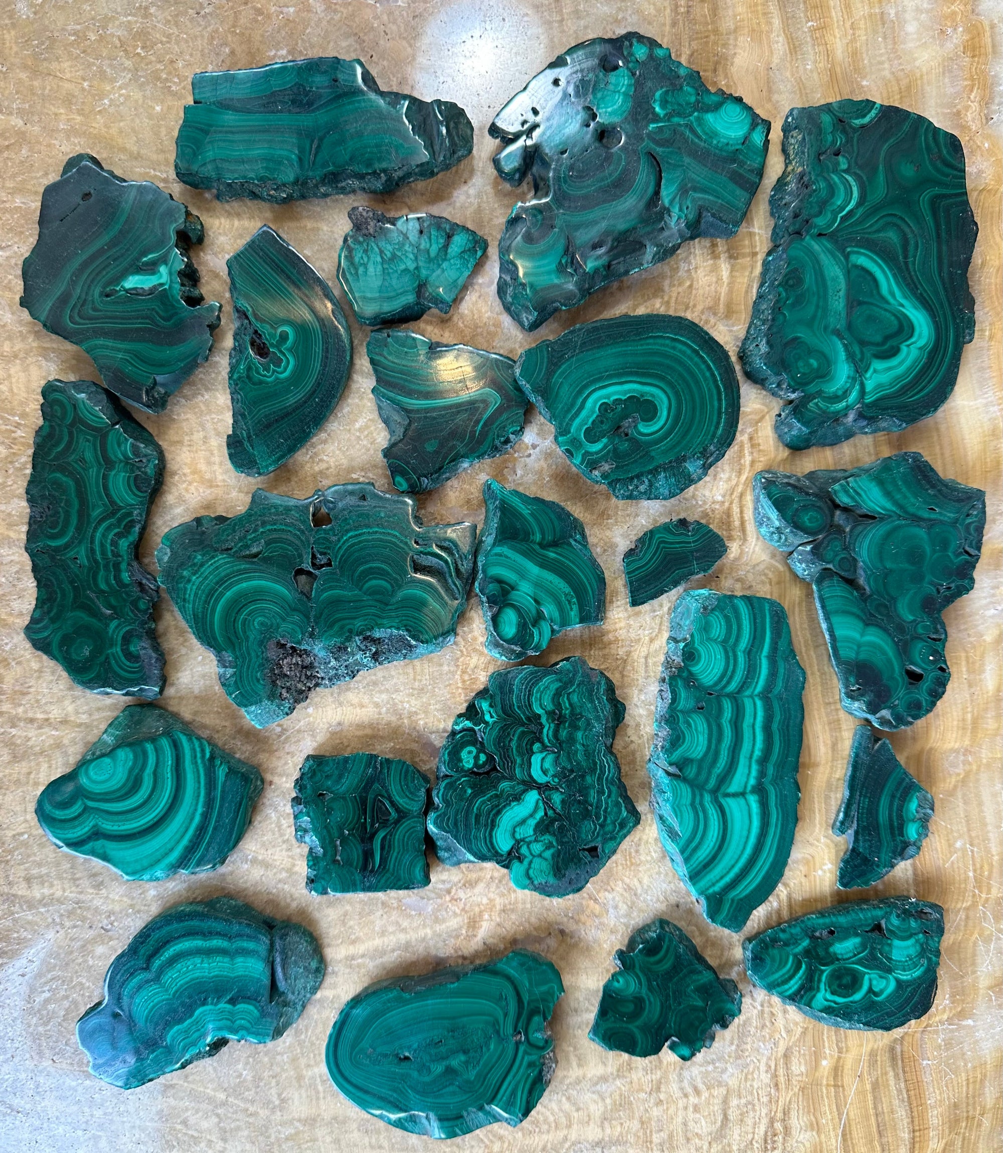 Polished green malachite mineral slice with distinctive banding patterns