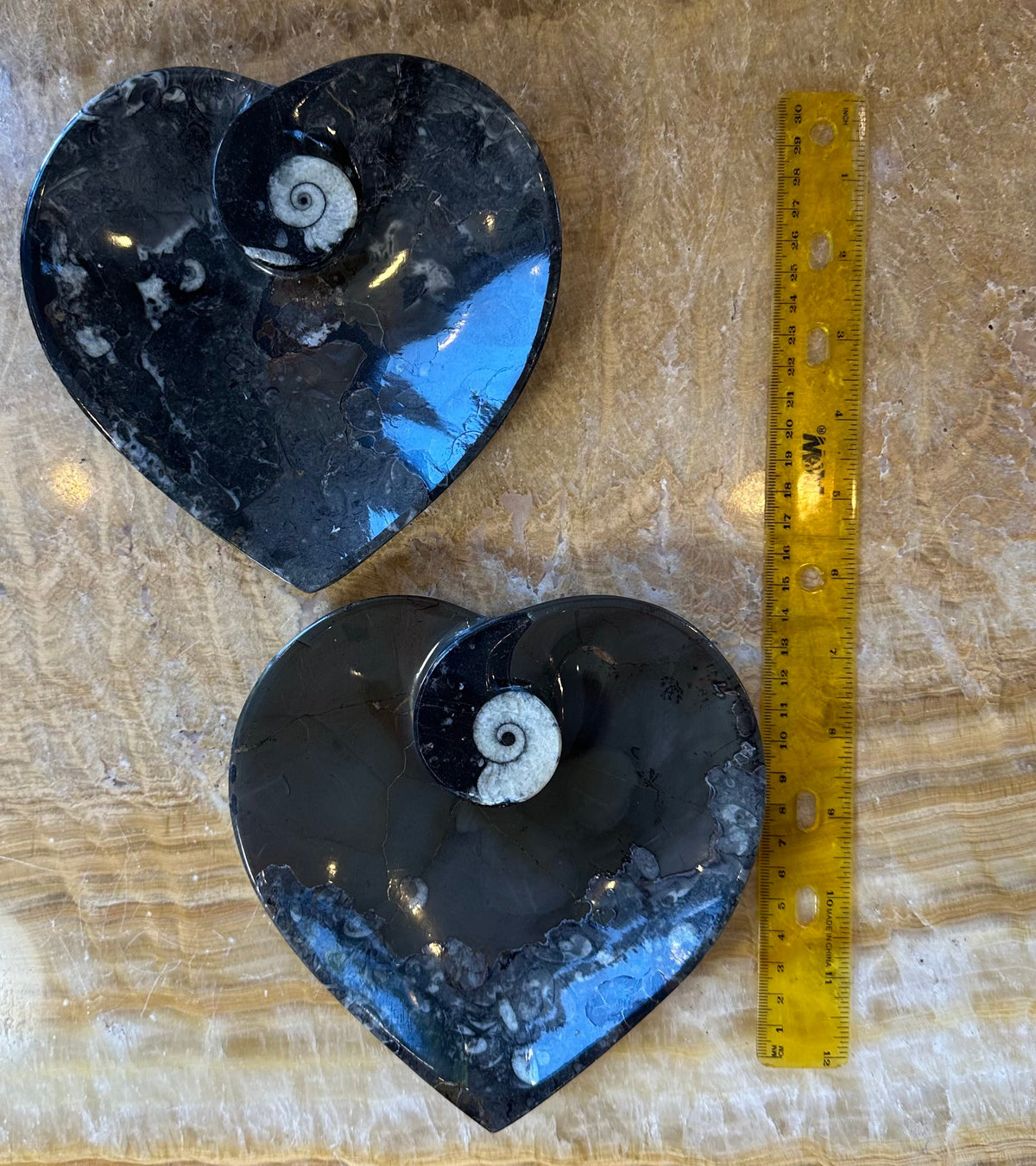 Two polished black limestone heart-shaped plates each featuring a white ammonite fossil near the top, shown next to a yellow ruler for scale on a beige textured surface.