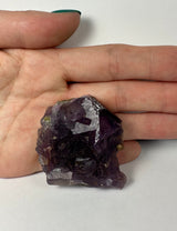 Hand holding a deep purple cubic fluorite crystal cluster with translucent geometric faces and a rough matrix base, against a plain white background.