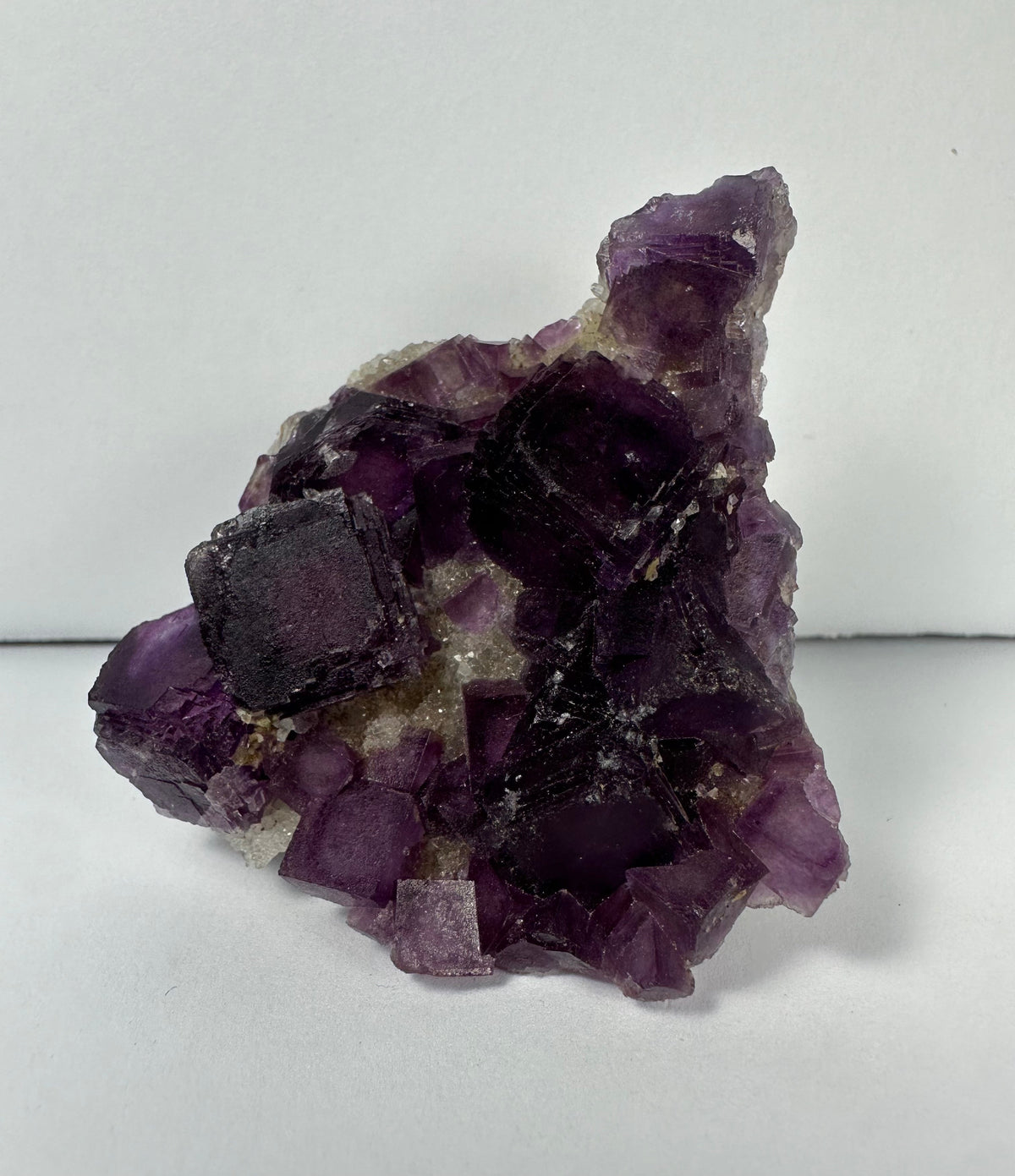 Cluster of deep purple cubic fluorite crystals on a rough, cream-colored mineral matrix against a plain white background.