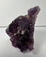 Cluster of deep purple cubic fluorite crystals on a rough, lighter-colored matrix, showing translucent and well-defined cube shapes under soft lighting.