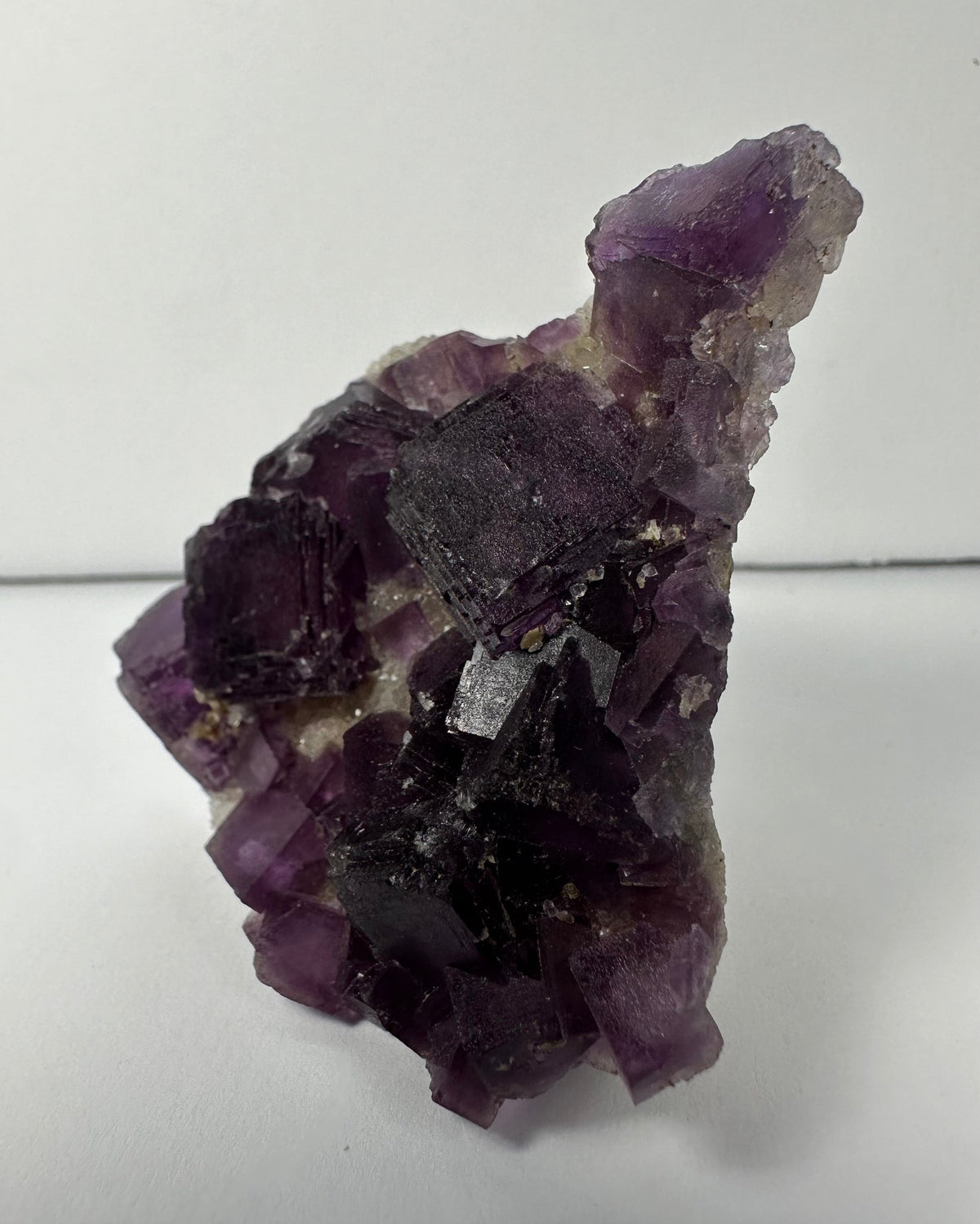 Cluster of deep purple cubic fluorite crystals on a rough, lighter-colored matrix, showing translucent and well-defined cube shapes under soft lighting.