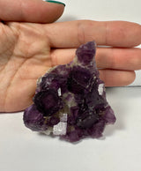 Cluster of deep purple cubic fluorite crystals on a light-colored matrix, held against a human hand for size reference showing varying crystal transparency and cubic shapes.