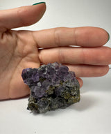 Cluster of small purple dodecahedral fluorite crystals with some white calcite on a dark gray matrix held in front of a hand for scale